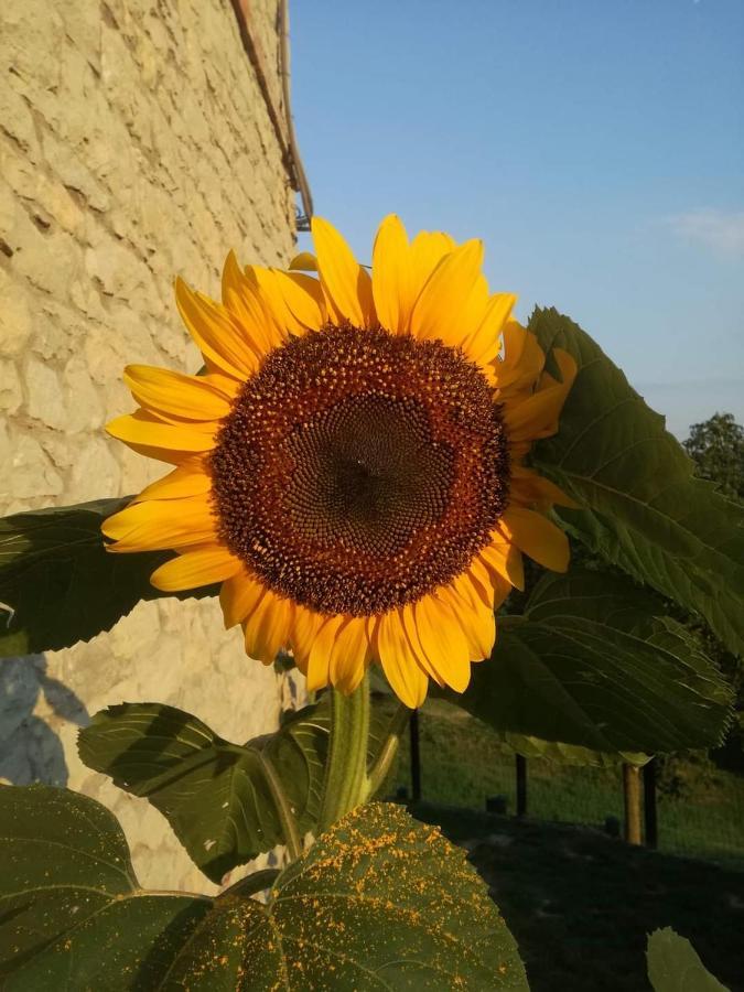 Casale Monte Valestra Bed and Breakfast Bebbio Εξωτερικό φωτογραφία
