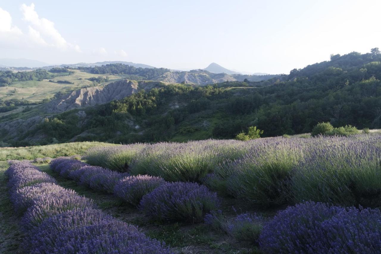 Casale Monte Valestra Bed and Breakfast Bebbio Εξωτερικό φωτογραφία