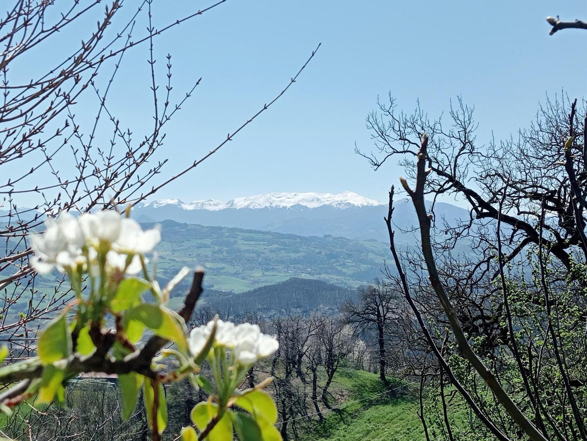 Casale Monte Valestra Bed and Breakfast Bebbio Εξωτερικό φωτογραφία